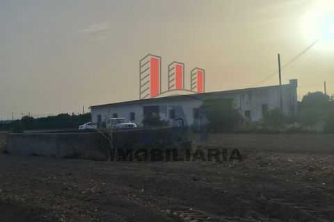 Farm i Almeirim, Santarem, Almeirim - € 350.000 | Ref: FM1108 - foto 9