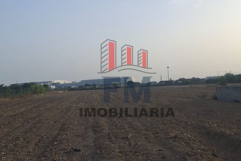 Farm i Almeirim, Santarem, Almeirim - € 350.000 | Ref: FM1108 - foto 10