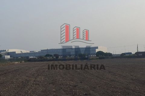 Farm i Almeirim, Santarem, Almeirim - € 350.000 | Ref: FM1108 - foto 11