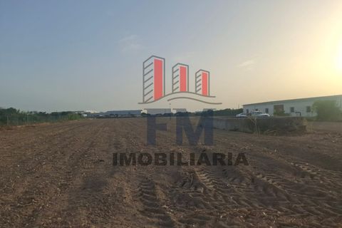 Farm i Almeirim, Santarem, Almeirim - € 350.000 | Ref: FM1108 - foto 12