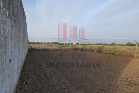 Farm i Almeirim, Santarem, Almeirim - € 350.000 | Ref: FM1108 - foto 13