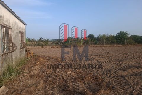 Farm i Almeirim, Santarem, Almeirim - € 350.000 | Ref: FM1108 - foto 14