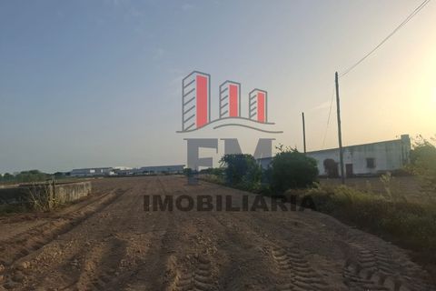 Farm i Almeirim, Santarem, Almeirim - € 350.000 | Ref: FM1108 - foto 15
