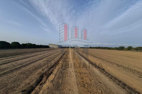 Farm i Almeirim, Santarem, Almeirim - € 350.000 | Ref: FM1108 - foto 16