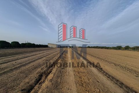 Farm i Almeirim, Santarem, Almeirim - € 350.000 | Ref: FM1108 - foto 17