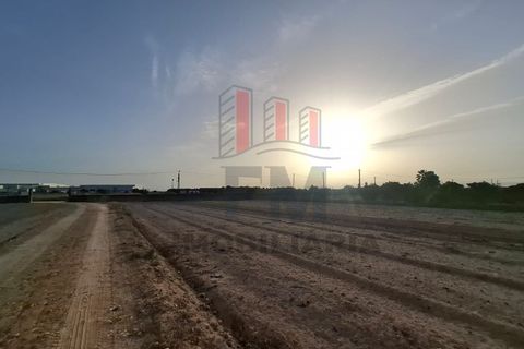 Farm i Almeirim, Santarem, Almeirim - € 350.000 | Ref: FM1108 - foto 18