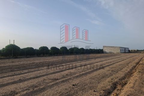 Farm i Almeirim, Santarem, Almeirim - € 350.000 | Ref: FM1108 - foto 19