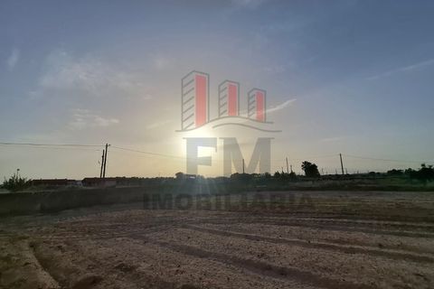 Farm i Almeirim, Santarem, Almeirim - € 350.000 | Ref: FM1108 - foto 20