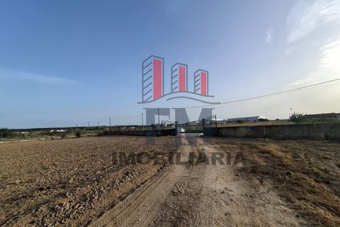 Farm i Almeirim, Santarem, Almeirim - € 350.000 | Ref: FM1108 - foto 21