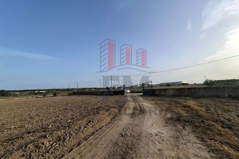 Farm i Almeirim, Santarem, Almeirim - € 350.000 | Ref: FM1108 - foto 22