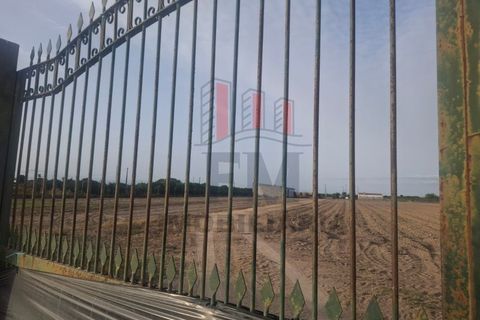 Farm i Almeirim, Santarem, Almeirim - € 350.000 | Ref: FM1108 - foto 24
