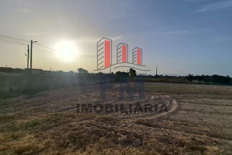 Farm i Almeirim, Santarem, Almeirim - € 350.000 | Ref: FM1108 - foto 25
