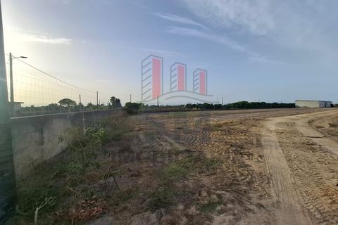 Farm i Almeirim, Santarem, Almeirim - € 350.000 | Ref: FM1108 - foto 26