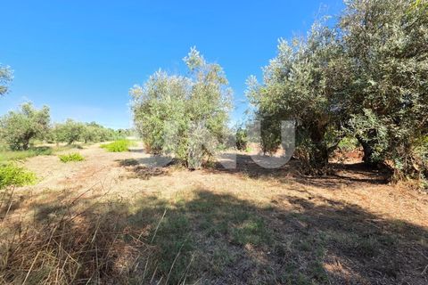 Villa i Abrantes, Santarem, Abrantes - € 232.500 | Ref: UNU.I.1366.18585 - foto 1