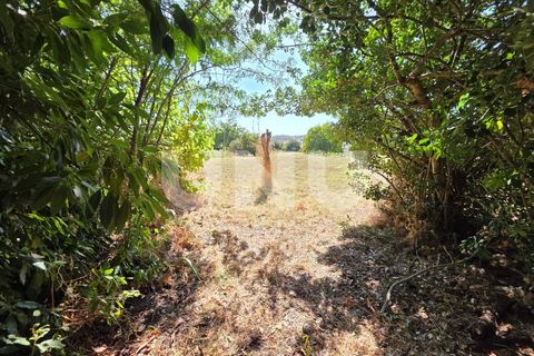 Villa i Abrantes, Santarem, Abrantes - € 232.500 | Ref: UNU.I.1366.18585 - foto 4