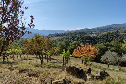 Villa i Todi, Perugia, Todi - € 220.000 | Ref: TODI25-2 - foto 11