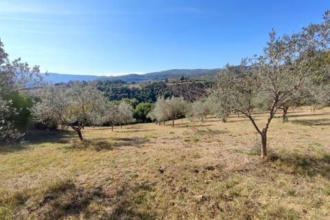 Villa i Todi, Perugia, Todi - € 220.000 | Ref: TODI25-2 - foto 12