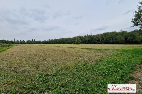 Terra a Arluno, Milan, Arluno - € 58.000 | Ref: TERRENOROGOROTTO - foto 4