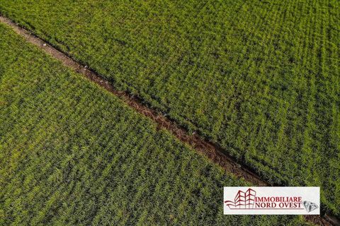 Terra a Arluno, Milan, Arluno - € 58.000 | Ref: TERRENOROGOROTTO - foto 7