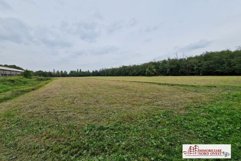 Helårsgrund i Vanzago, Milan, Vanzago - € 58.000 | Ref: TERRENOVANZAGO - foto 3