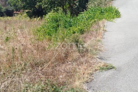 Tomt i Santos Evos, Viseu, Santos Evos - € 40 000 | Ref: ZMPT581369 - foto 20