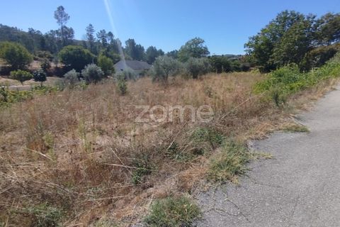 Tomt i Santos Evos, Viseu, Santos Evos - € 40 000 | Ref: ZMPT581369 - foto 22