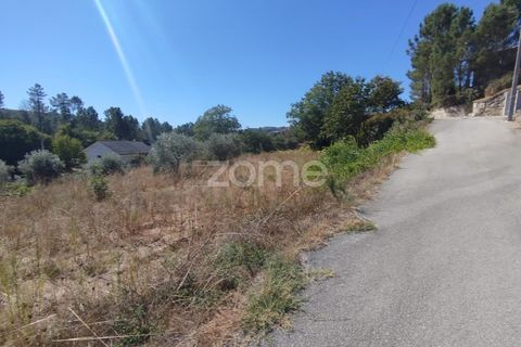 Tomt i Santos Evos, Viseu, Santos Evos - € 40 000 | Ref: ZMPT581369 - foto 23