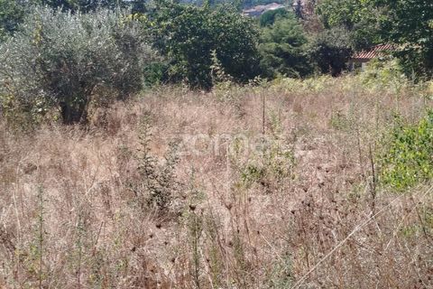 Tomt i Santos Evos, Viseu, Santos Evos - € 40 000 | Ref: ZMPT581369 - foto 24