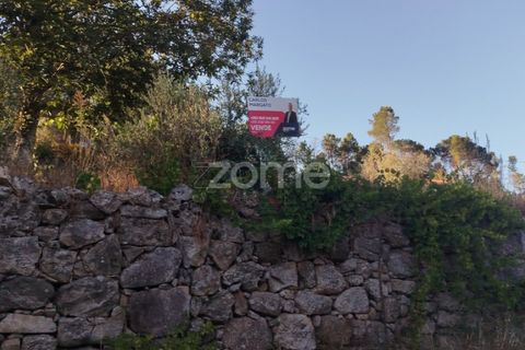 Tomt i Santos Evos, Viseu, Santos Evos - € 40 000 | Ref: ZMPT581369 - foto 27