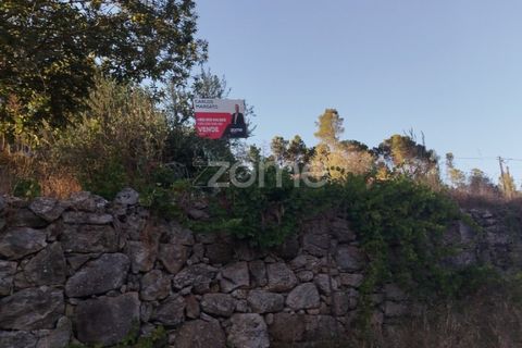 Tomt i Santos Evos, Viseu, Santos Evos - € 40 000 | Ref: ZMPT581369 - foto 28
