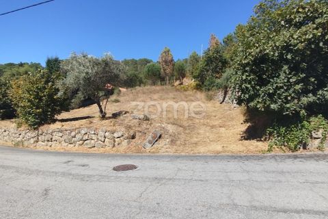Tomt i Santos Evos, Viseu, Santos Evos - € 40 000 | Ref: ZMPT581369 - foto 2