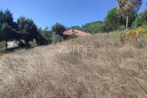 Tomt i Santos Evos, Viseu, Santos Evos - € 40 000 | Ref: ZMPT581369 - foto 5