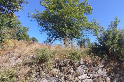 Tomt i Santos Evos, Viseu, Santos Evos - € 40 000 | Ref: ZMPT581369 - foto 7