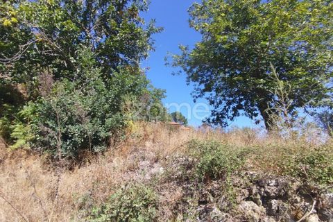 Tomt i Santos Evos, Viseu, Santos Evos - € 40 000 | Ref: ZMPT581369 - foto 8