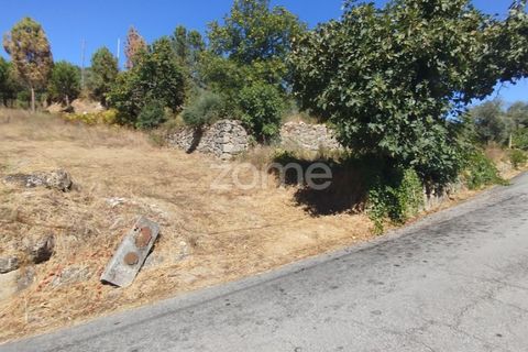 Tomt i Santos Evos, Viseu, Santos Evos - € 40 000 | Ref: ZMPT581369 - foto 11
