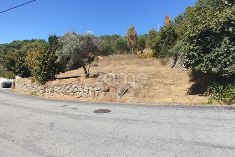Tomt i Santos Evos, Viseu, Santos Evos - € 40 000 | Ref: ZMPT581369 - foto 12