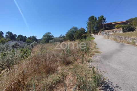 Tomt i Santos Evos, Viseu, Santos Evos - € 40 000 | Ref: ZMPT581369 - foto 15