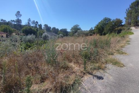 Tomt i Santos Evos, Viseu, Santos Evos - € 40 000 | Ref: ZMPT581369 - foto 16