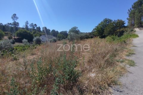 Tomt i Santos Evos, Viseu, Santos Evos - € 40 000 | Ref: ZMPT581369 - foto 18