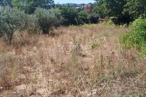 Tomt i Santos Evos, Viseu, Santos Evos - € 40 000 | Ref: ZMPT581369 - foto 17