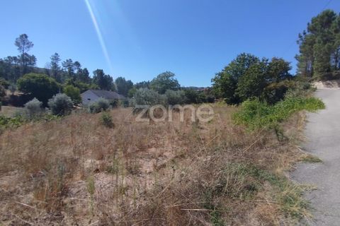 Tomt i Santos Evos, Viseu, Santos Evos - € 40 000 | Ref: ZMPT581369 - foto 19