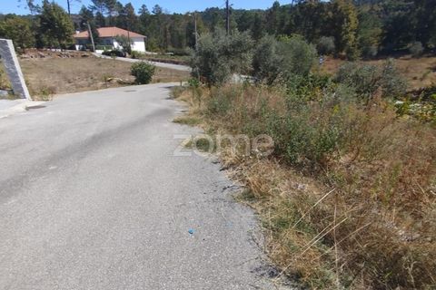 Tomt i Santos Evos, Viseu, Santos Evos - € 40 000 | Ref: ZMPT581369 - foto 21