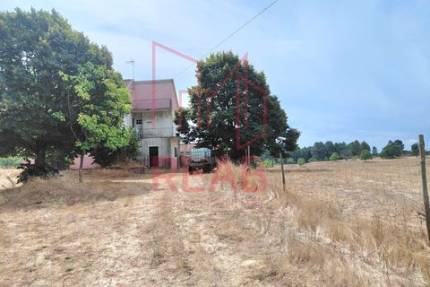 Villa i Eirado, Guarda, Eirado - € 85 000 | Ref: 240/ 2025 - foto 11