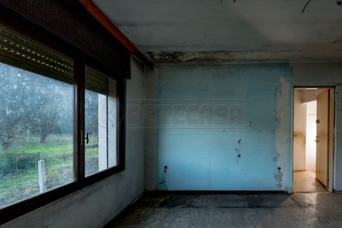 Byhus i Longare, Vicenza, Longare - € 99.000 | Ref: FZlporbifV01 - foto 6