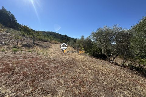 Villa i Oleiros, Castelo Branco, Oleiros - € 175.000 | Ref: 2834 - foto 28