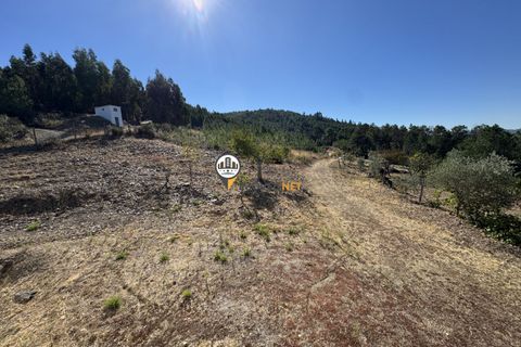 Villa i Oleiros, Castelo Branco, Oleiros - € 175.000 | Ref: 2834 - foto 31
