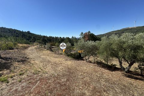Villa i Oleiros, Castelo Branco, Oleiros - € 175.000 | Ref: 2834 - foto 32