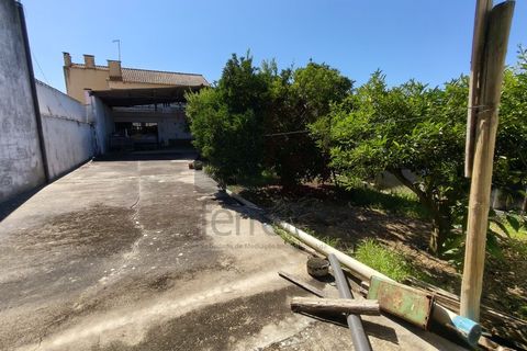 Villa a Azinhaga, Santarem, Azinhaga - € 280.000 | Ref: MOR4410 - foto 27