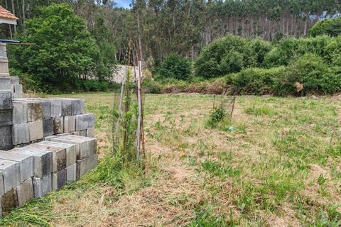 Villa i Paredes de Coura, Viana do Castelo, Paredes de Coura - € 285.000 | Ref: MOR_3145 - foto 26