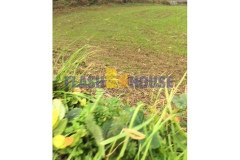 Terra a Rabo de Peixe, Sao Miguel, Rabo de Peixe - € 150.000 | Ref: FHPL5017 - foto 2